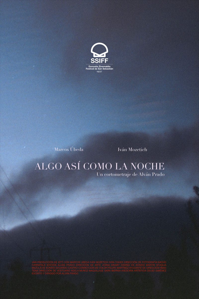 Afiche de la película Algo así como la noche
