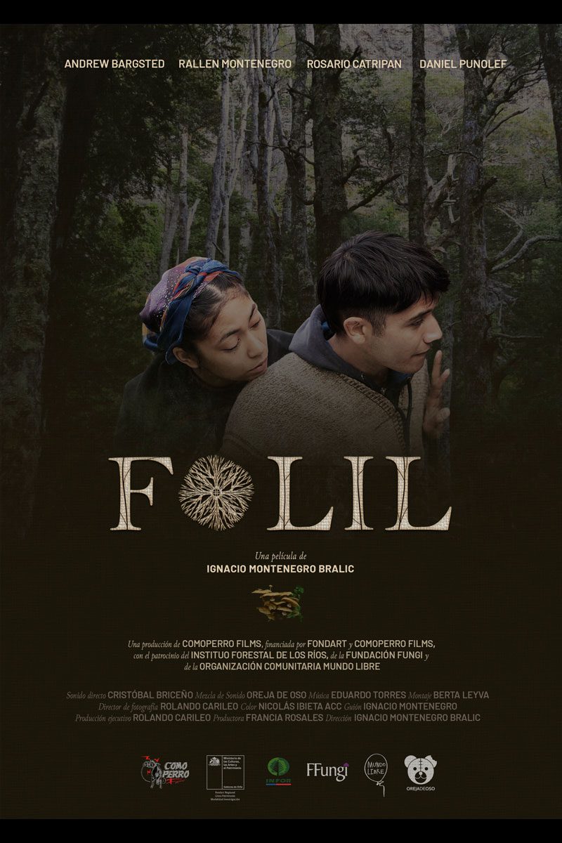 Afiche de la película Folil
