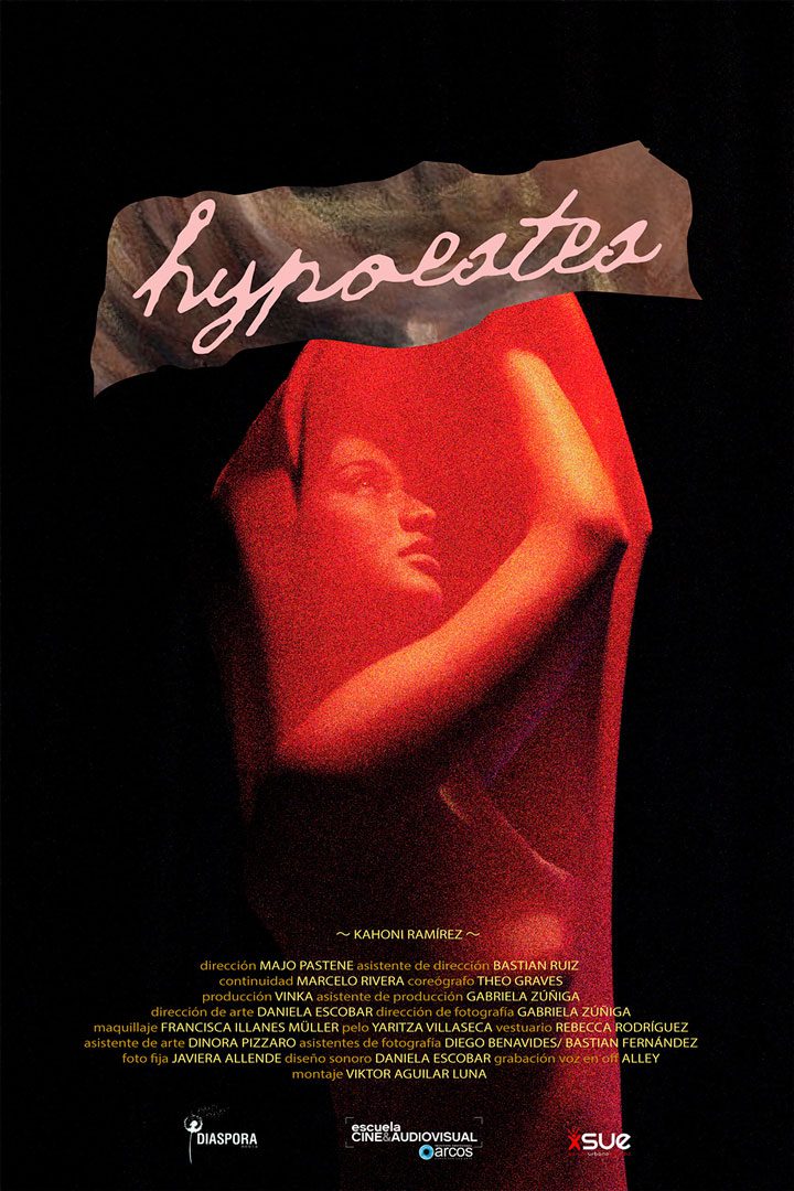 Afiche de la película Hypoestes