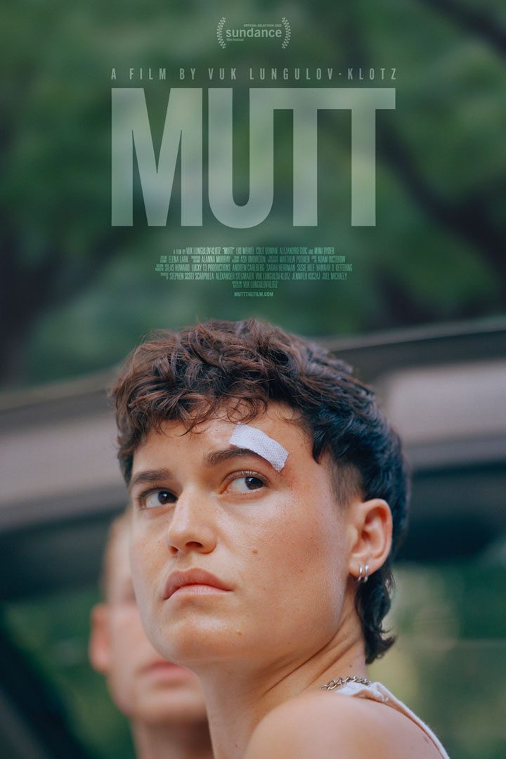 Afiche de la película Quiltro